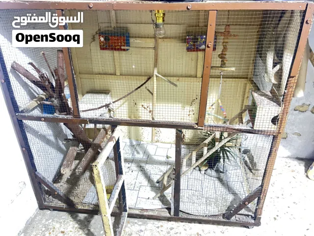 قفص طيور حب كوكتيل