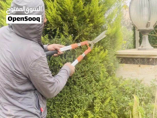 قص وتقليم الأشجار حصد العشب تنسيق الحدائق نقل المخلفات