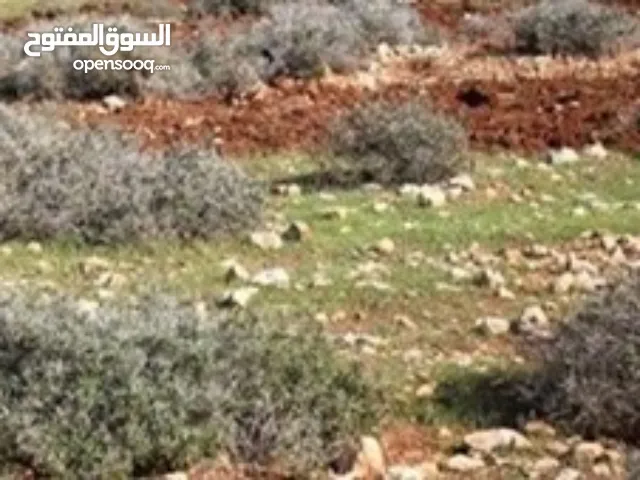 Mixed Use Land for Sale in Bethlehem Beit Jala