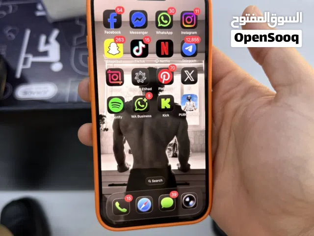 iPhone 16 عادي