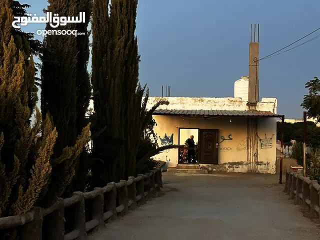 مزرعه للبيع مساحتها دلم
