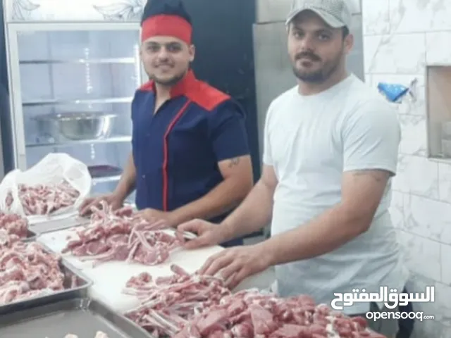 member16243206536 المالكي