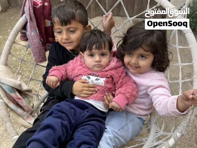 شقًة للإيجار في البيرة