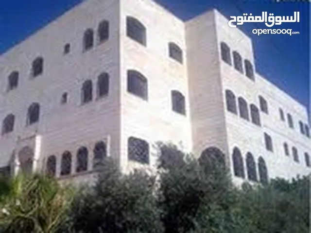 شقه للايجار في صافوط الحي الشرقي حد الجبيهه