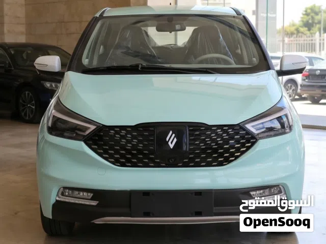 2026 JMEV EV3