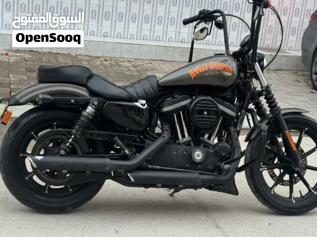 2020 Harley Davidson Iron 883
