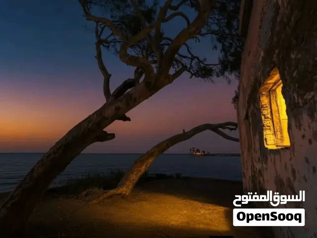 اريد محل دجاج للايجار في المنصوره ونواحيها