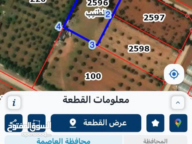 ارض سكنيه في الطنيب حوض العيادات قرب جامعة الشرق الاوسط للبيع من المالك