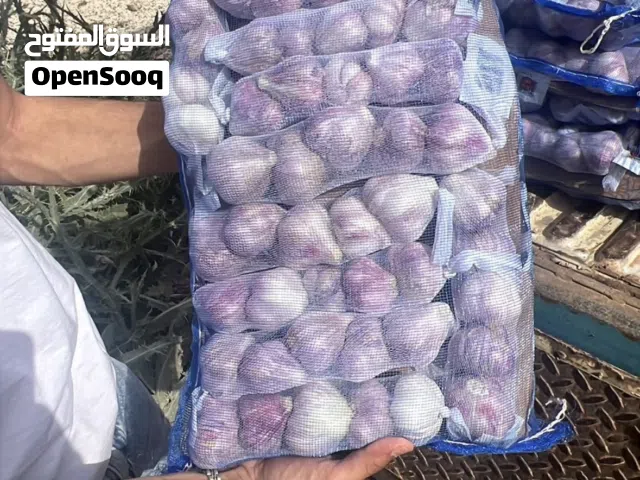 ثوم نخب اول