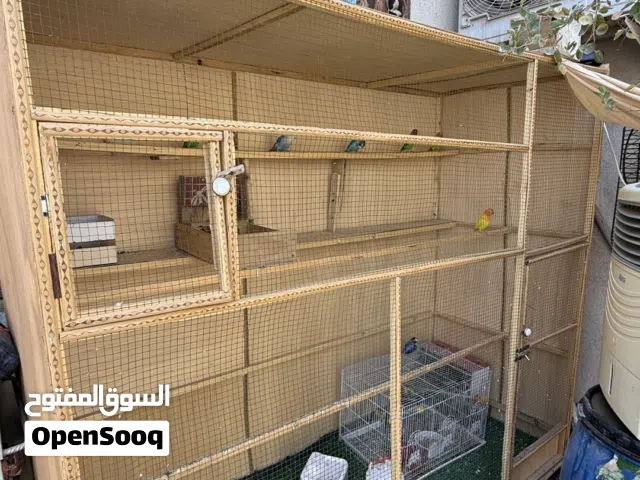 قفص وغندورات للبيع