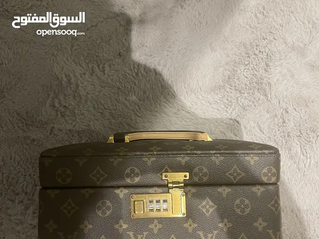 Louis Vuitton Bag/Case