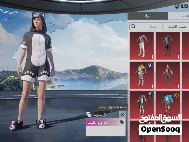 Pubg Accounts and Characters for Sale in Qalubia