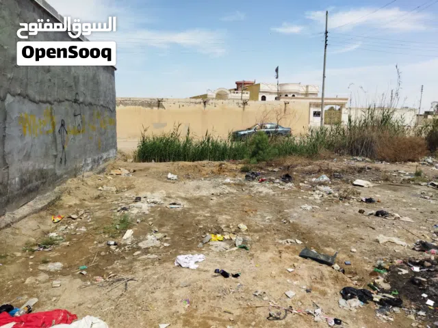 قطعة للبيع زراعي اصولي  بالجزيرة شارع زين العابدين