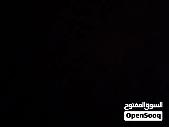 ابحث عن كل صغير ممتاز للتبني ف البيت وعندي خبره ف تربيه الكلاب
