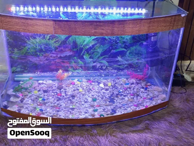 حوض سمك مع اغراضه عرض متر للبيع