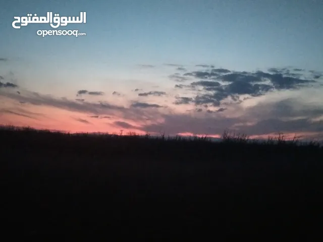 حساب فري فاير مينا