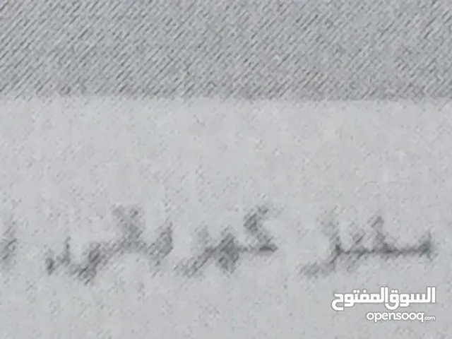 رخصة مخبز الي