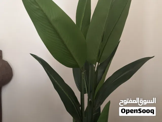 ورق اصطناعي للديكور جديد للبيع