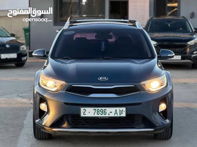 ستونيك نخب نخب