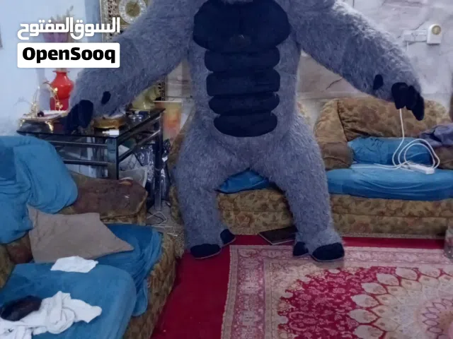 غورله طوله مترين و60. متوفر توصيل اي مكان