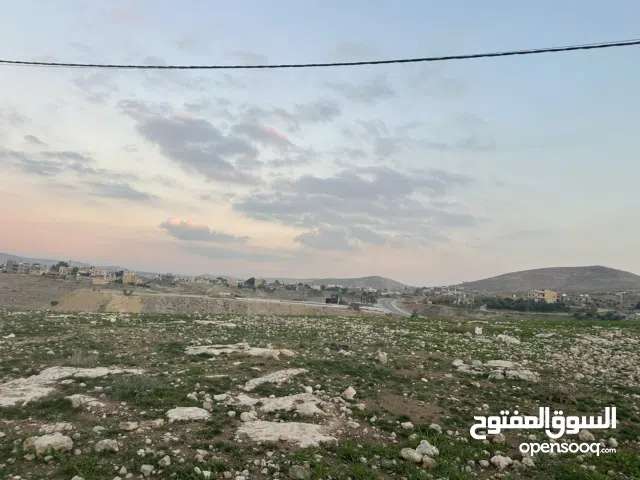Farm Land for Sale in Zarqa Birayn