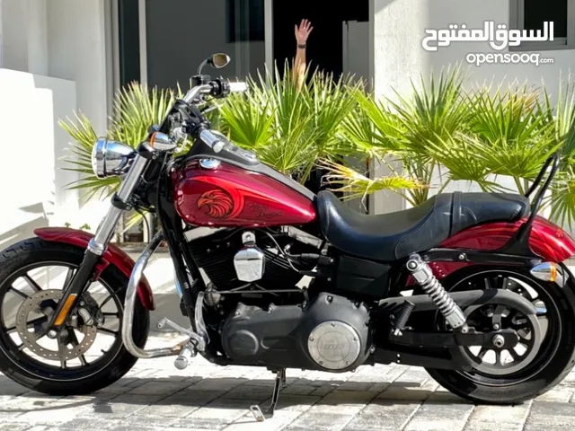 Custom paint Street Bob - expat leaving