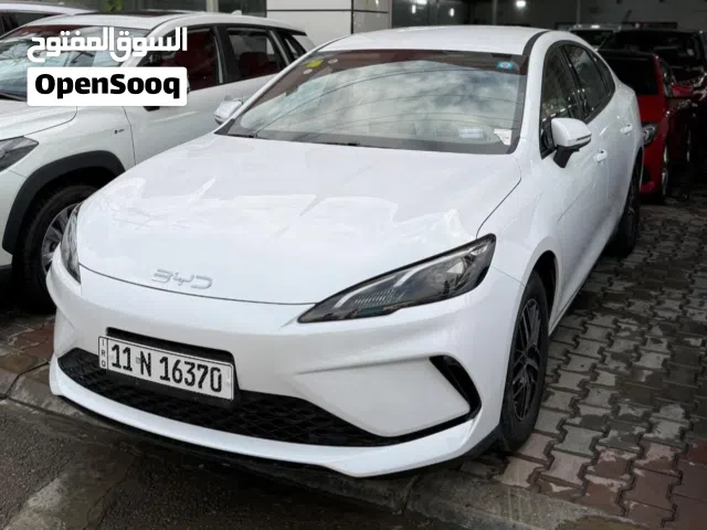 2025 بي واي دي سيل