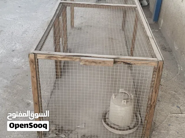 قفص دجاج حمام للبيع