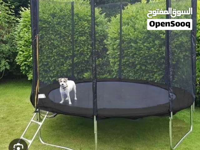 trampoline