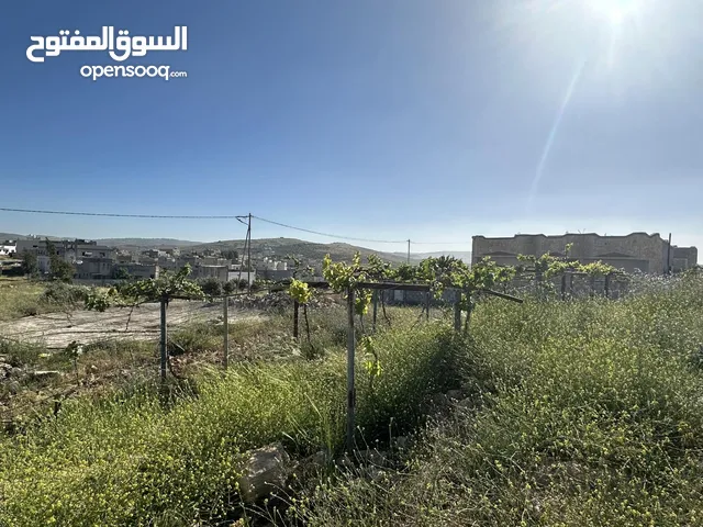 Mixed Use Land for Sale in Irbid Kitim