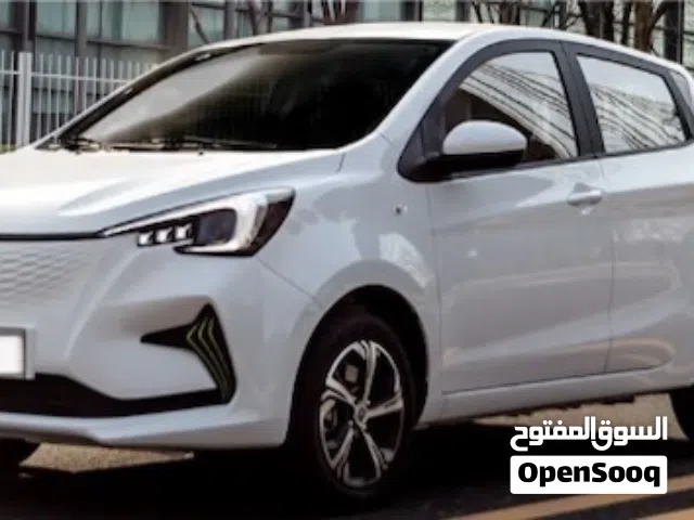 2022 Changan E-Star