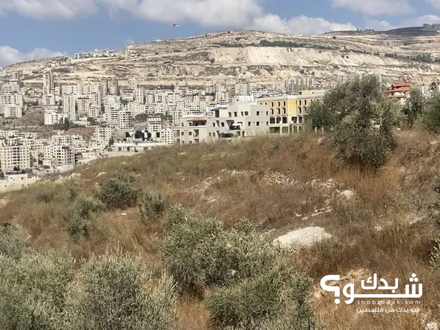 120m2 3 Bedrooms Apartments for Sale in Nablus Rafidia