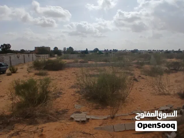 للايجار قطعة أرض