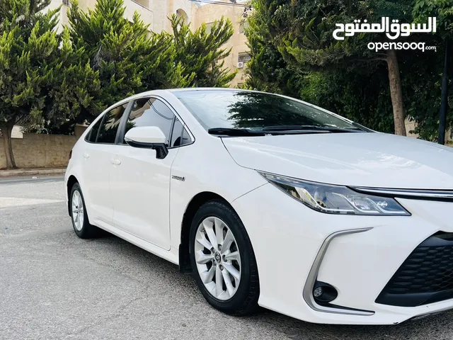 Used Toyota Corolla in Amman