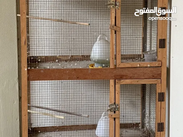 للبيع قفص طيور