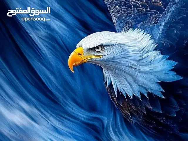 طرف خارجي للبيع همرا400