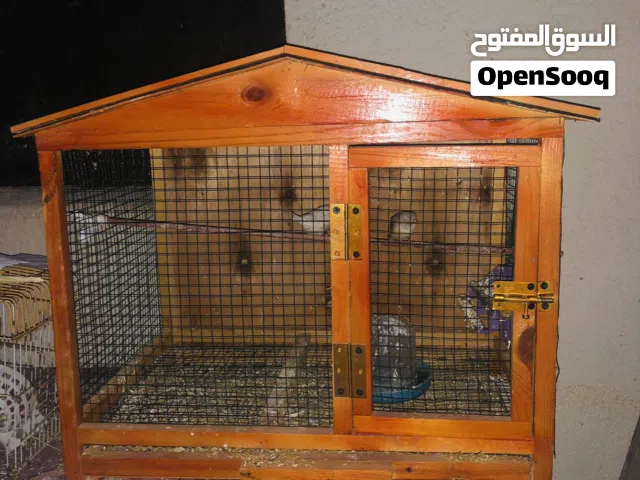 قفص لبييع ربي يبارك سعر حرقققق