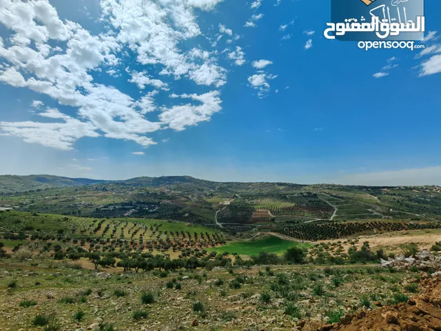 Residential Land for Sale in Zarqa Al-Kamsha
