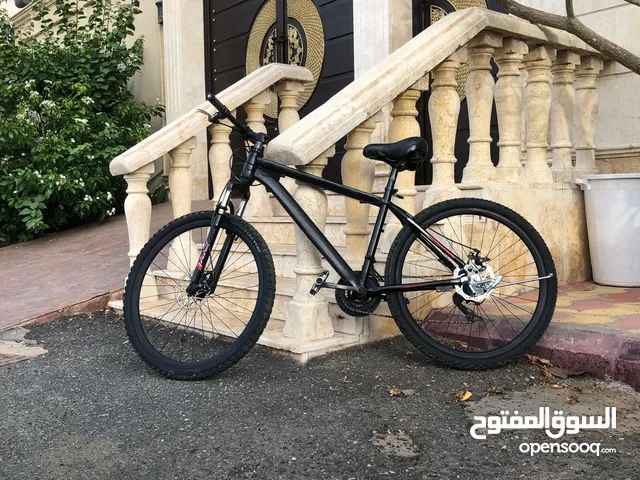 Good Condition Bicycle