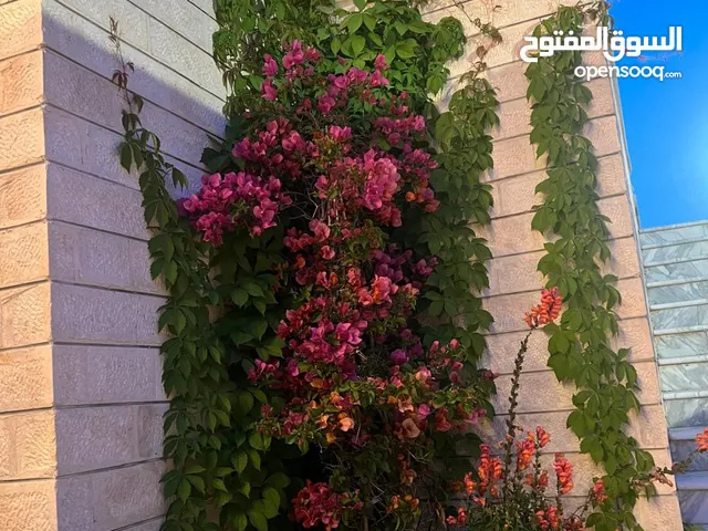 فيلا فخمه للبيع من المالك مباشرة منطقة دابوق سكن أ خاص. على تله عاليه بمواصفات عالية الجودة