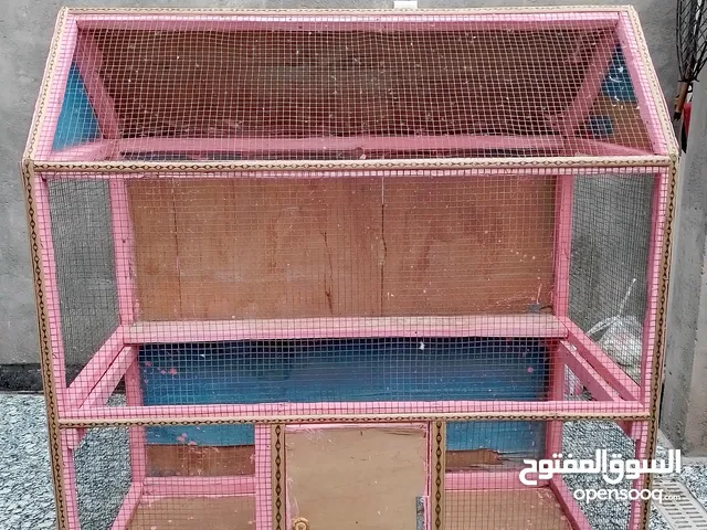 قفص طيور خشب نظيف وجاهز