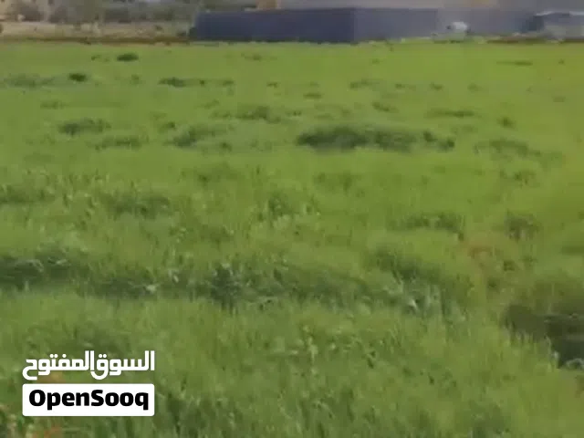 ارض للبيع في اجمل مناطق عمان