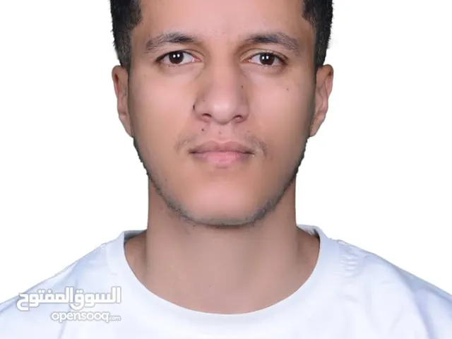 member166145419116 الحميدي
