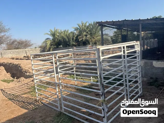 للبيع فقط تواجد بركاء ب 170 ريال