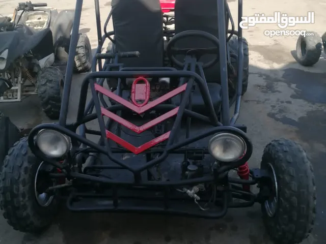 Buggy All Models 2014 in Buraimi