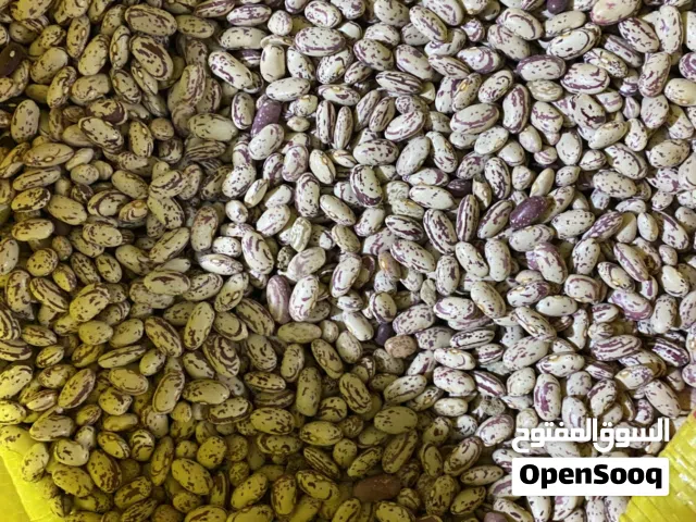 فاصولیا البینتو والفاصولیا الحمراء