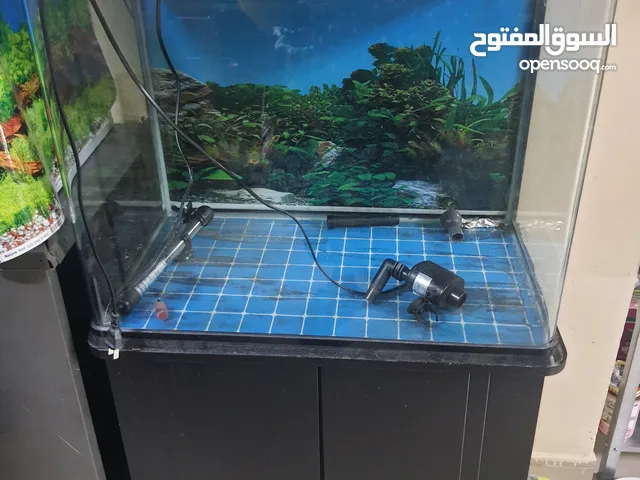 Aquarium tank ( used 60x35x45 cm)