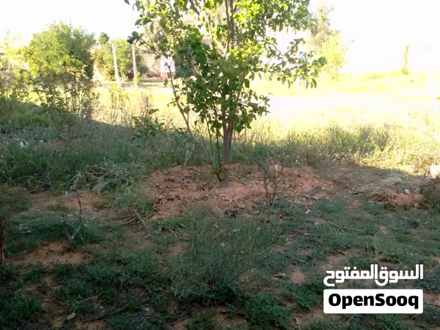 قطعة أرض فيها استراحة مساحة الارض1000م