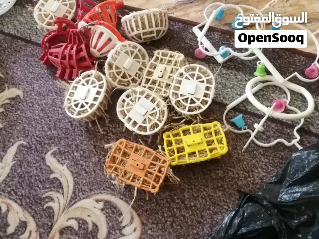 عش فندش عش بلابل