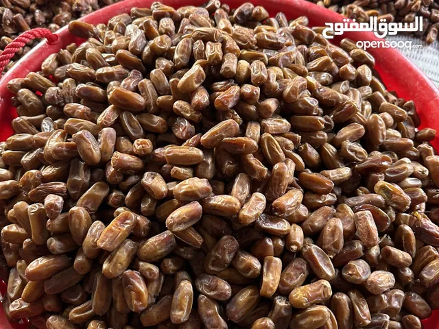 تمر الحنظل